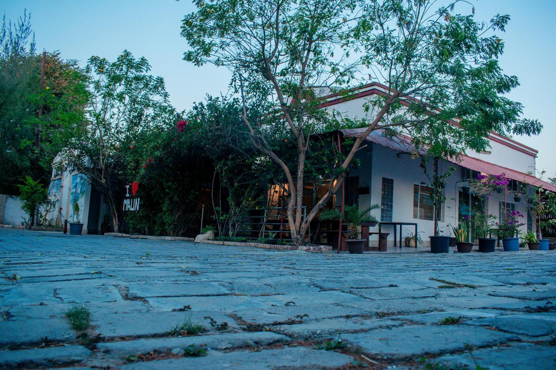 Dolar Lodges & Tours Maun Exteriör bild